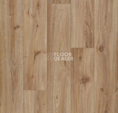 Линолеум Forbo Eternal Wood 10832 hazelnut oak фото 1 | FLOORDEALER